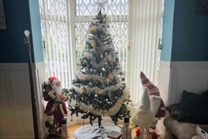 Christmas loving mum of five Cassie Needle has already put up her festive tree in September saying it brings joy to her family and neighbours despite critics calling it too early.