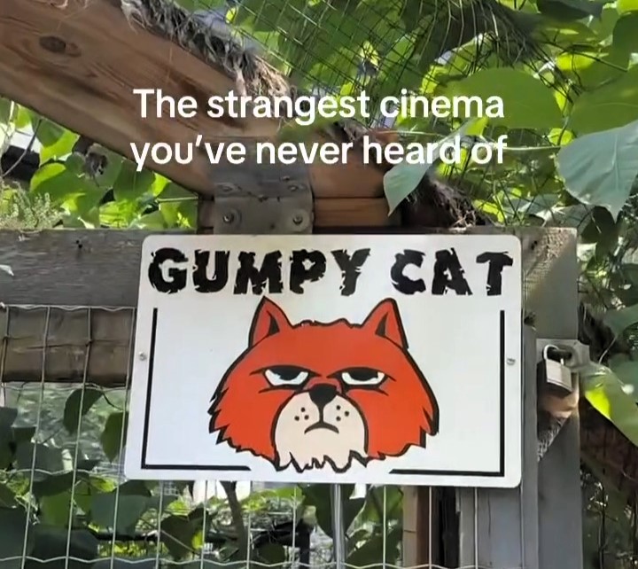 Explorer Emma Combs discovered Highland Cinemas in Canada, a quirky movie museum and theatre that doubles as a sanctuary for nearly 60 abandoned cats, delighting visitors worldwide.