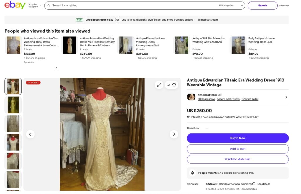 Former X Factor star Kitty Brucknell has swapped pop for vintage fashion, selling early 20th century-inspired dresses on eBay under “timelesstitanic” and showcasing designs on Instagram.