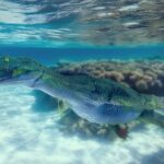 Scientists in Italy discovered a 240-million-year-old Lariosaurus fossil with skin intact, revealing webbed limbs and offering a rare glimpse into the prehistoric sea reptile’s life.