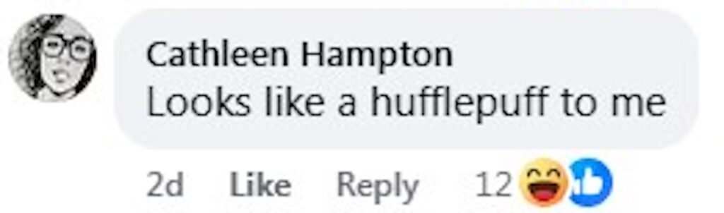 Social media comment on the post of A great horned owl nicknamed Keeper was rescued after getting tangled in a football net at a Texas school, with police joking it was trying to play Quidditch.