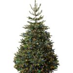 Harrods launches luxury Christmas range in August with £1579 LED tree, £999 velvet skirt, £521 glass ornament and £250 beauty advent calendar featuring top brands.