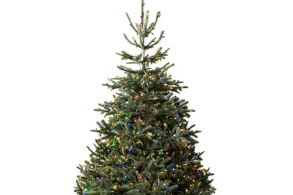 Harrods launches luxury Christmas range in August with £1579 LED tree, £999 velvet skirt, £521 glass ornament and £250 beauty advent calendar featuring top brands.