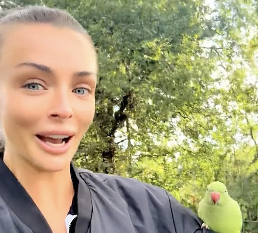 Love Island star Kady McDermott squeals as Hyde Park parakeets swarm her - one cheeky green bird even tries to peck her ear during surprise encounter in London.