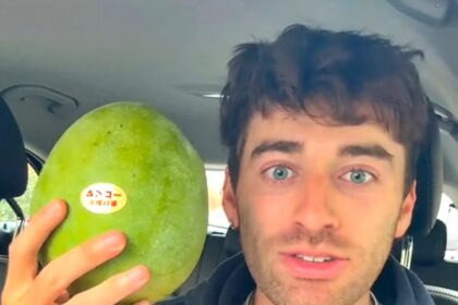Influencer Carmie Sellitto spends £160 on a single Harrods mango, calling it the juiciest he has ever eaten in viral TikTok video that left him in tears and fans stunned.