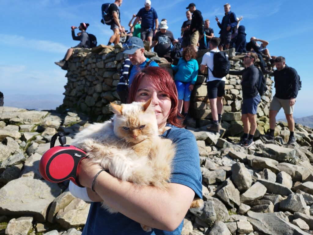 Adventure cat Louis becomes first feline to complete Three Peaks, Catbells and The Great Ridge - fearless Persian hikes mountains on his own and raises money for charity.