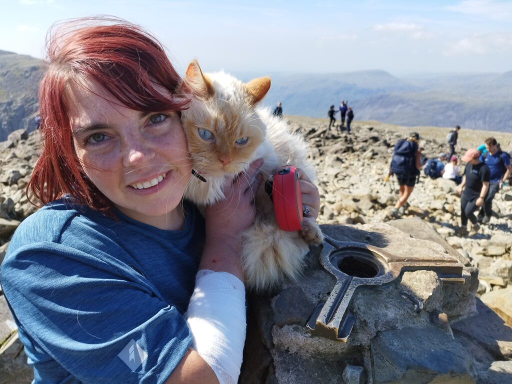 Adventure cat Louis becomes first feline to complete Three Peaks, Catbells and The Great Ridge - fearless Persian hikes mountains on his own and raises money for charity.