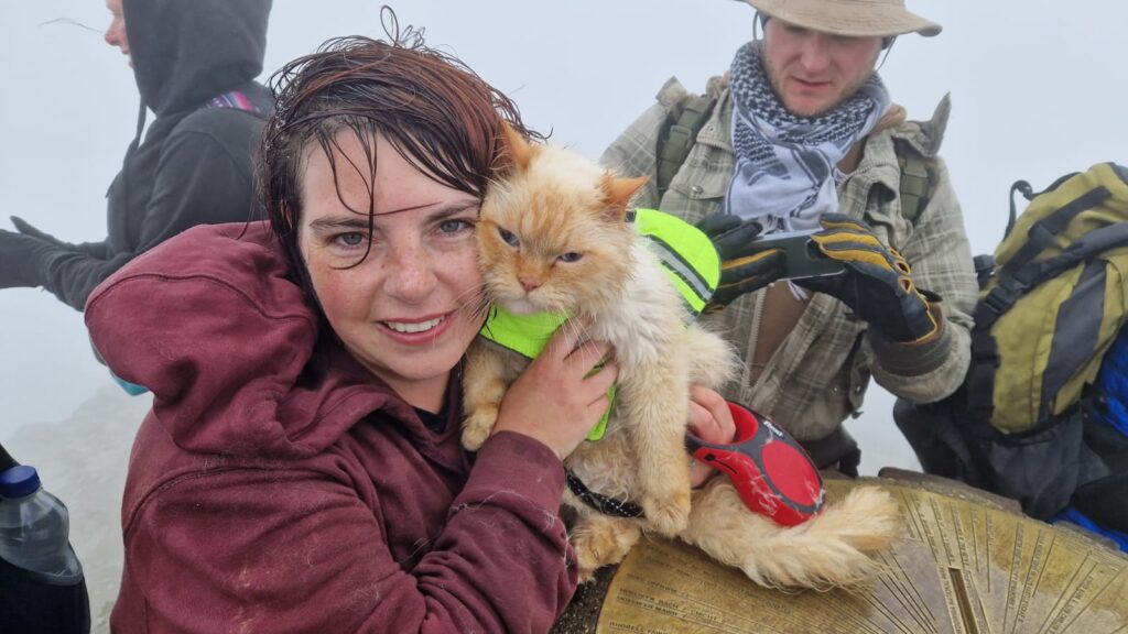 Adventure cat Louis becomes first feline to complete Three Peaks, Catbells and The Great Ridge - fearless Persian hikes mountains on his own and raises money for charity.