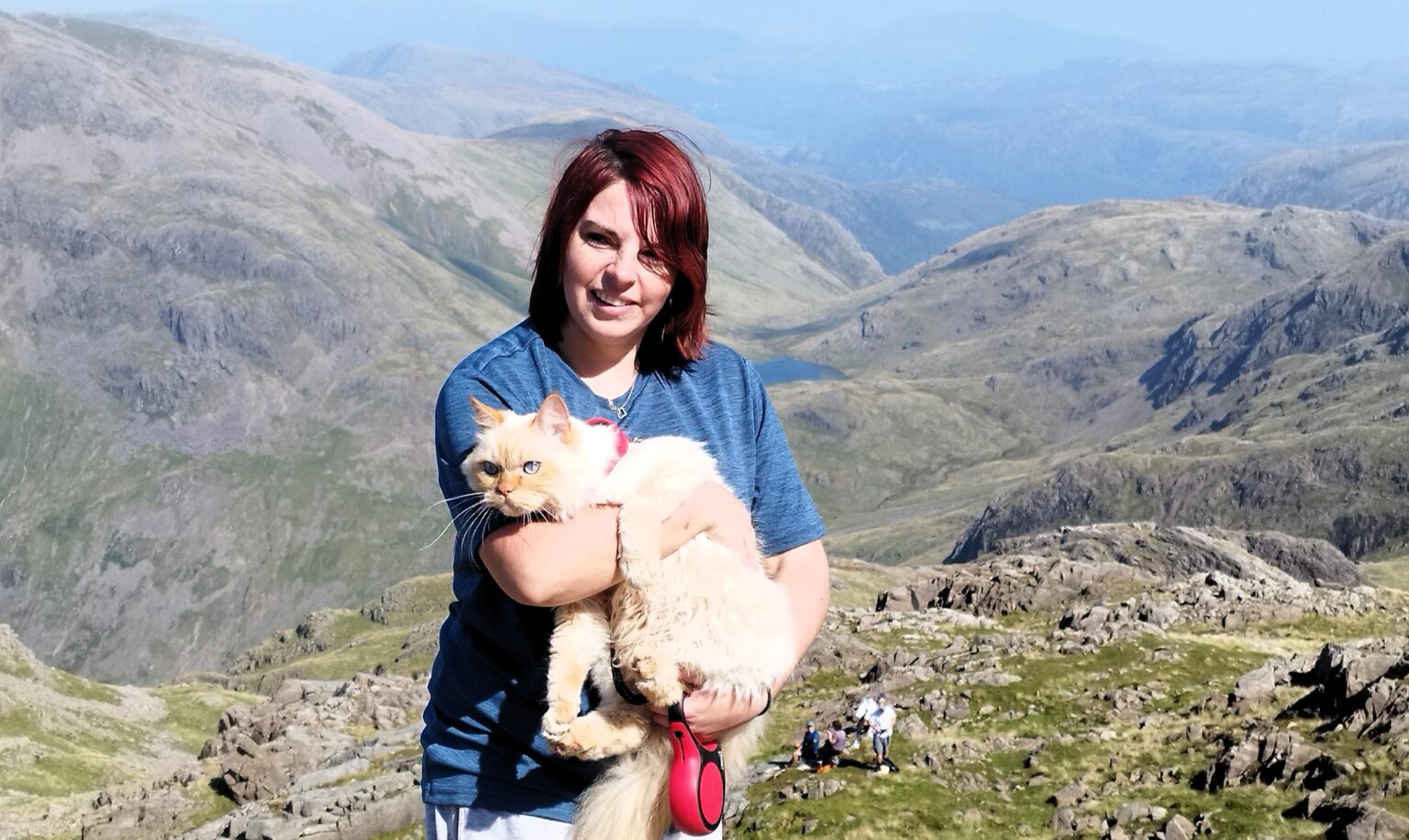 Adventure cat Louis becomes first feline to complete Three Peaks, Catbells and The Great Ridge - fearless Persian hikes mountains on his own and raises money for charity.