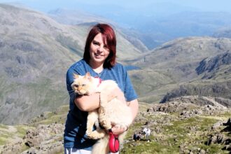 Adventure cat Louis becomes first feline to complete Three Peaks, Catbells and The Great Ridge - fearless Persian hikes mountains on his own and raises money for charity.