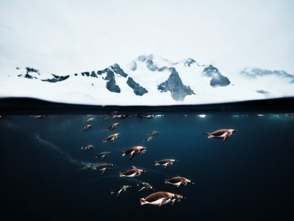 Sony World Photography Awards 2026 reveal stunning entries and jury line-up - exhibition returns to Somerset House, London in April with global showcase of powerful images.