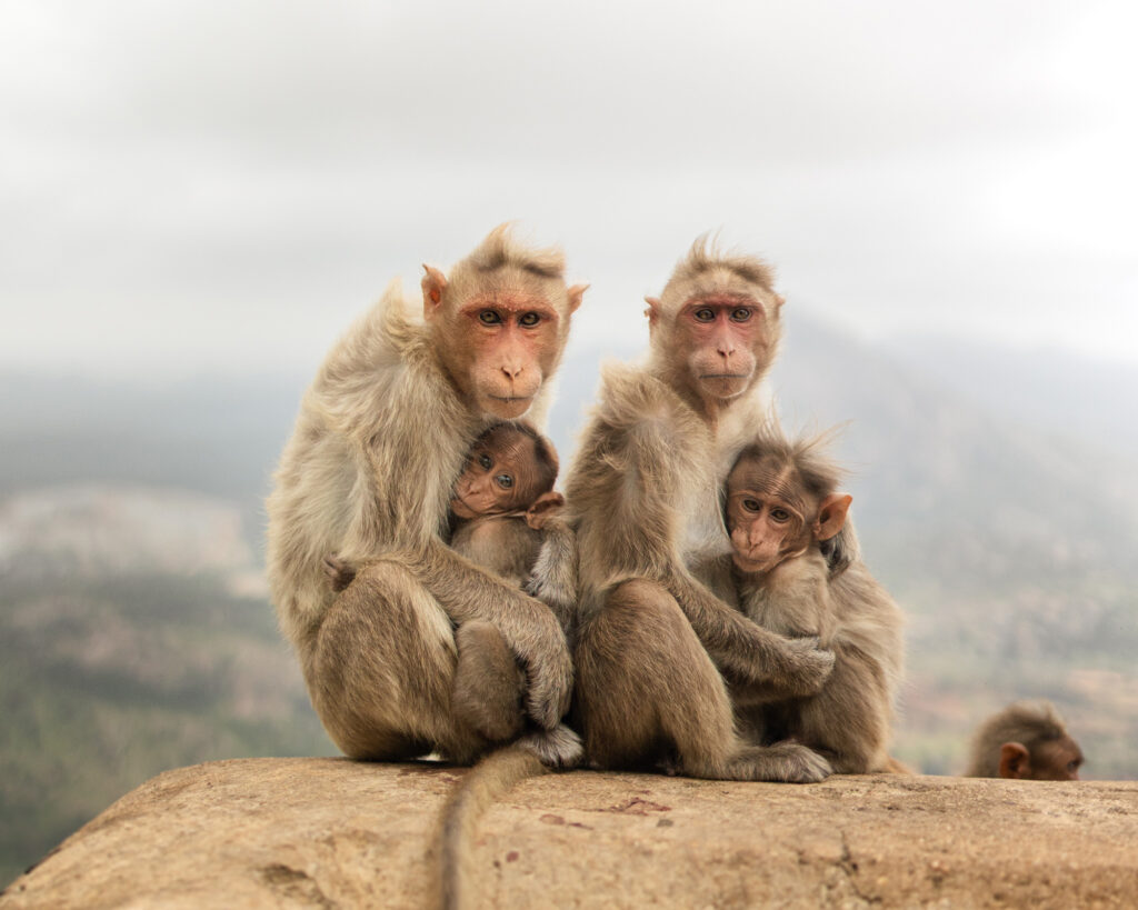 Sony World Photography Awards 2026 reveal stunning entries and jury line-up - exhibition returns to Somerset House, London in April with global showcase of powerful images.