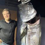 Norwegian fisherman lands 44-stone bluefin tuna after 3 hour battle - sells £2,241 catch to sushi restaurants and now hopes to reel in a sweet and nice girlfriend.