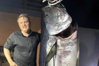 Norwegian fisherman lands 44-stone bluefin tuna after 3 hour battle - sells £2,241 catch to sushi restaurants and now hopes to reel in a sweet and nice girlfriend.