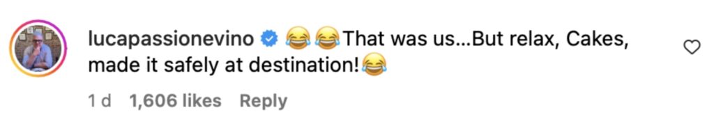 Social media comment on the post of TV wine expert Luca Dusi spotted driving with wife’s birthday cake on car roof - Sunday Brunch star laughs off near disaster as pastry miraculously survives journey.