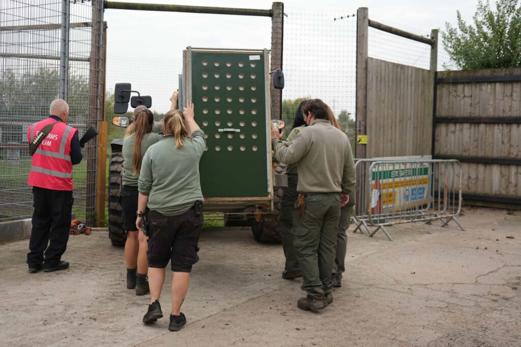 Three one year old lions rescued from war torn Ukraine have arrived at Yorkshire Wildlife Park after a 1,700 mile journey to safety where they will join the resident pride.