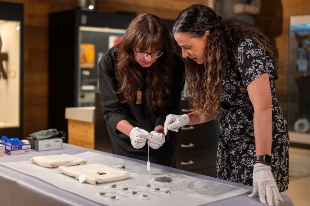 A Canadian thrift shop sold 13 medieval artefacts including rings and medallions for just £16 before experts at Simon Fraser University confirmed their historic significance.