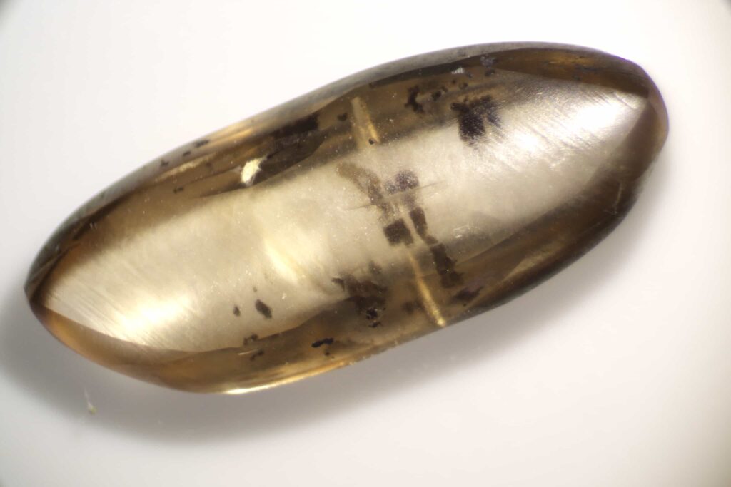 Raynae Madison struck lucky on her birthday trip to Crater of Diamonds State Park in Arkansas, unearthing a rare 2.79 carat brown diamond with a dollar store digging kit.