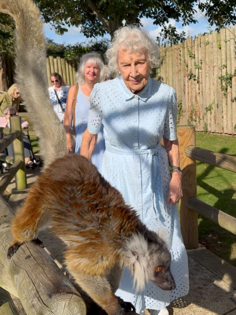Drusillas Park marks 100th birthday with 20 centenarians whose combined ages top 2,000 years - guests relive memories, meet lemurs and enjoy nostalgic cream teas in Sussex.