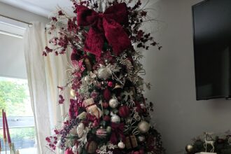 Christmas superfan Charlotte Chandler, 36, from Stockport, has already filled her home with five Christmas trees and festive lights, saying decorating early helps her arthritis and keeps her dad’s memory alive despite online trolls.