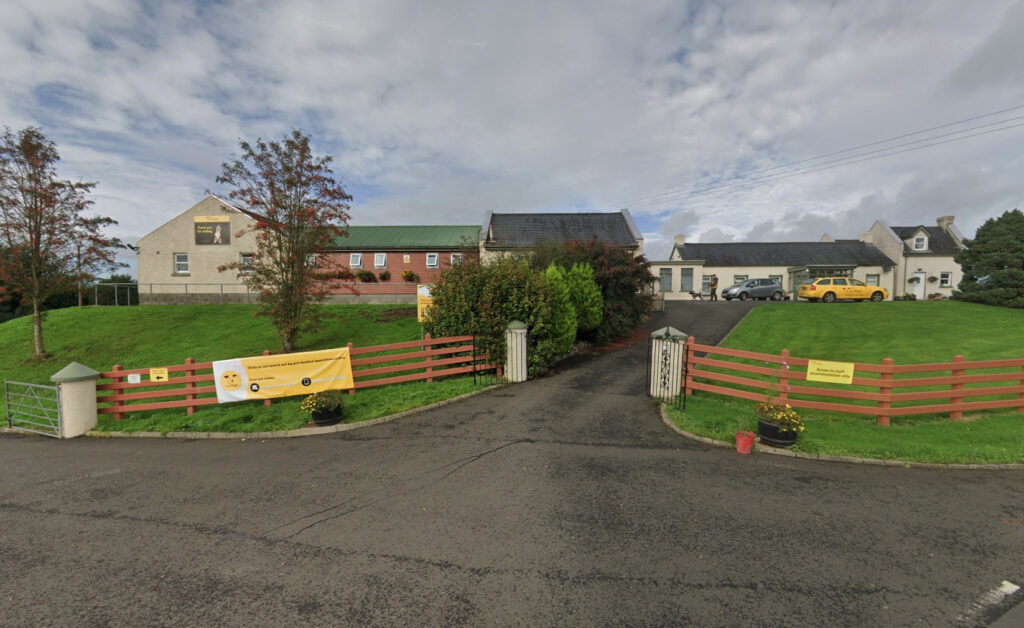 Eight puppies named after Lord of the Rings characters have all been adopted from Dogs Trust Ballymena - while their rescued mum still waits to find her forever home.