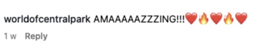 Ballerina Ashlee Rose Montague stuns viewers by walking en pointe across seven champagne bottles, earning Guinness World Records and millions of views for her daring skill.