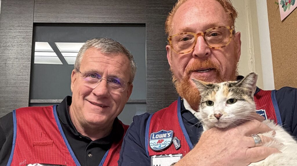 Francine, a beloved shop cat missing from a Virginia Lowe’s store, was found 90 miles away after hopping on a delivery truck. Staff used drones and traps to bring her safely home.