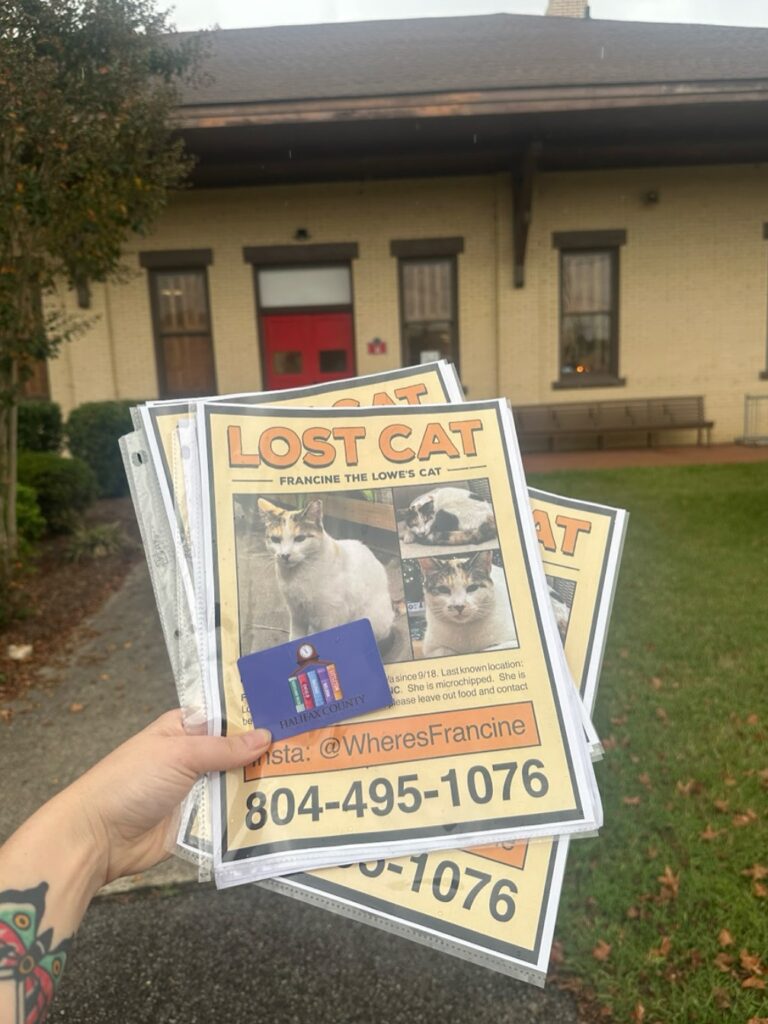 Francine, a beloved shop cat missing from a Virginia Lowe’s store, was found 90 miles away after hopping on a delivery truck. Staff used drones and traps to bring her safely home.