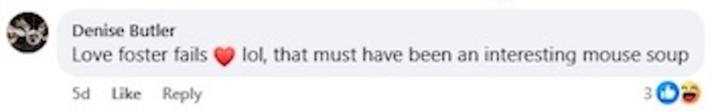 Social media comment on the post of A cheeky foster cat was caught on camera dropping a dead mouse into a simmering dinner pot - leaving its owner horrified and joking it was “takeout night” instead.