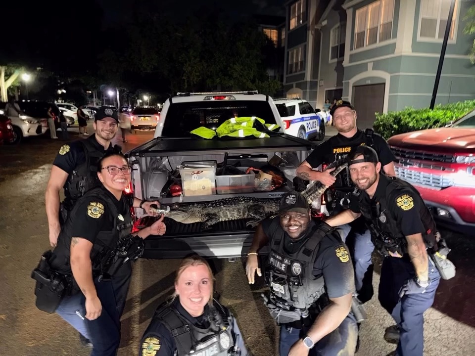 Florida police captured a six-foot alligator found roaming inside an apartment hallway in Orlando. Officers safely restrained it and released it into a nearby lake unharmed.
