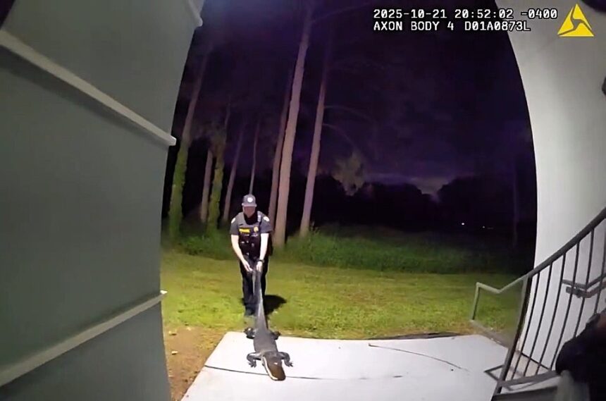 Florida police captured a six-foot alligator found roaming inside an apartment hallway in Orlando. Officers safely restrained it and released it into a nearby lake unharmed.