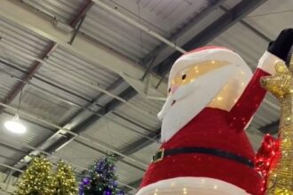Shoppers are shocked as Costco rolls out its Christmas range 11 weeks early - with prices soaring up to £1,999.99 for a 15ft pre-lit tree and £399.99 for a giant Nutcracker.