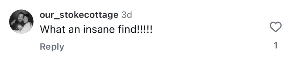 Social media comment on the post of A Leicester couple uncovered stunning herringbone flooring hidden beneath their old carpet, sparking viral fame with 2.5 million views and praise for their lucky home find.