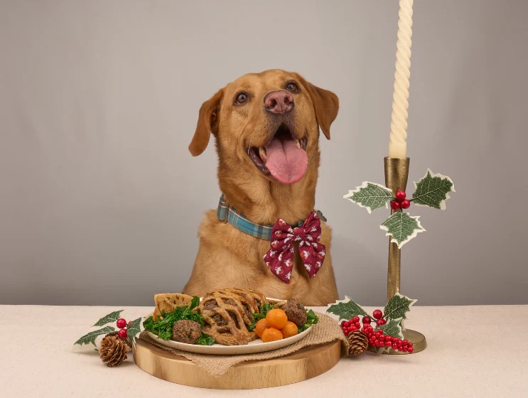A former Charlie Bigham’s chef has created a luxury £14.95 beef wellington for dogs, featuring prime steak, liver, and parsley pastry as part of a festive fine dining collection.