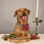A former Charlie Bigham’s chef has created a luxury £14.95 beef wellington for dogs, featuring prime steak, liver, and parsley pastry as part of a festive fine dining collection.
