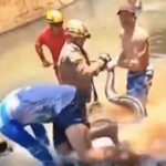 Tourists were stunned when firefighters removed a 16ft anaconda hiding under pool steps at a Brazil resort, using tools to free and safely release the massive snake.