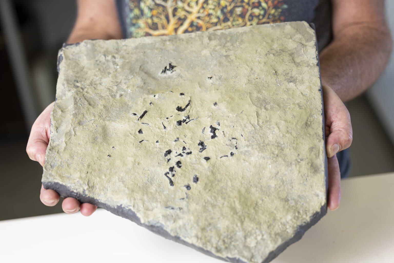 A newly discovered Jurassic fossil on Scotland’s Isle of Skye reveals Breugnathair elgolensis a fanged reptile with snake like jaws offering fresh insight into lizard and snake evolution.
