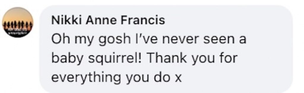 Social media comment on the post of Police in Stratford-upon-Avon rescued four baby squirrels named Alvin, Simon, Theodore and Keith after finding them in a fallen tree blown down during Storm Amy.