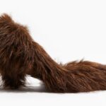 H&M’s £37.99 fluffy faux fur heels have sold out online as shoppers rush to grab the viral shoes that have split opinions across the fashion world.