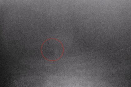 A ghostly figure believed to be the Grey Lady of Longleat House was caught on camera in Wiltshire’s Wolf Wood, sparking intrigue ahead of the estate’s autumn ghost tours.
