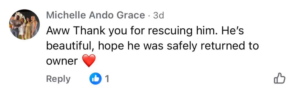 Social media comment on the post of Heroic RNLI crews rescued Bruno the dog from dangerous seas off Llandudno, pulling him to safety after he battled strong tides, with emotional footage praised online.