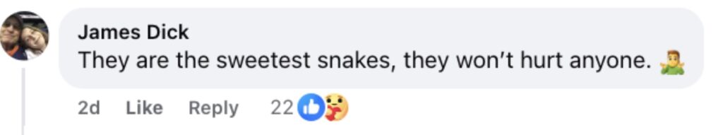 Social media comment on the post of A pet python named Henry was reunited with her family after astonishingly turning up at an In-N-Out drive thru 40 miles from home leaving staff and customers stunned.