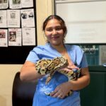 A pet python named Henry was reunited with her family after astonishingly turning up at an In-N-Out drive thru 40 miles from home leaving staff and customers stunned.