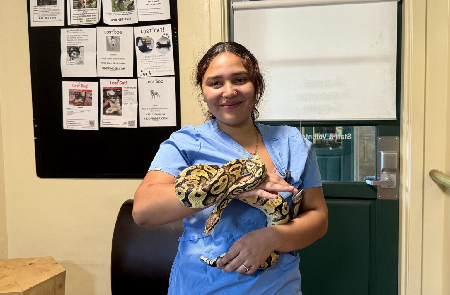 A pet python named Henry was reunited with her family after astonishingly turning up at an In-N-Out drive thru 40 miles from home leaving staff and customers stunned.