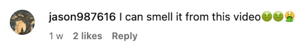 Social media comment on the post of Influencer James Patrick Ellingworth nearly vomited after eating the world’s stinkiest tofu, calling it the “worst thing ever,” even worse than the infamous Surströmming fish.