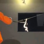 Residents in Belo Horizonte, Brazil, were stunned to see a snake slithering along a power line before firefighters safely removed it and released it into nearby woodland.