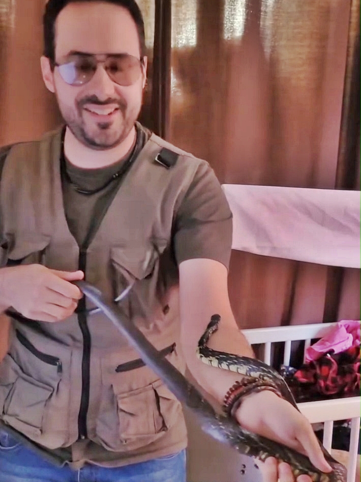 Residents in Belo Horizonte, Brazil, were stunned to see a snake slithering along a power line before firefighters safely removed it and released it into nearby woodland.