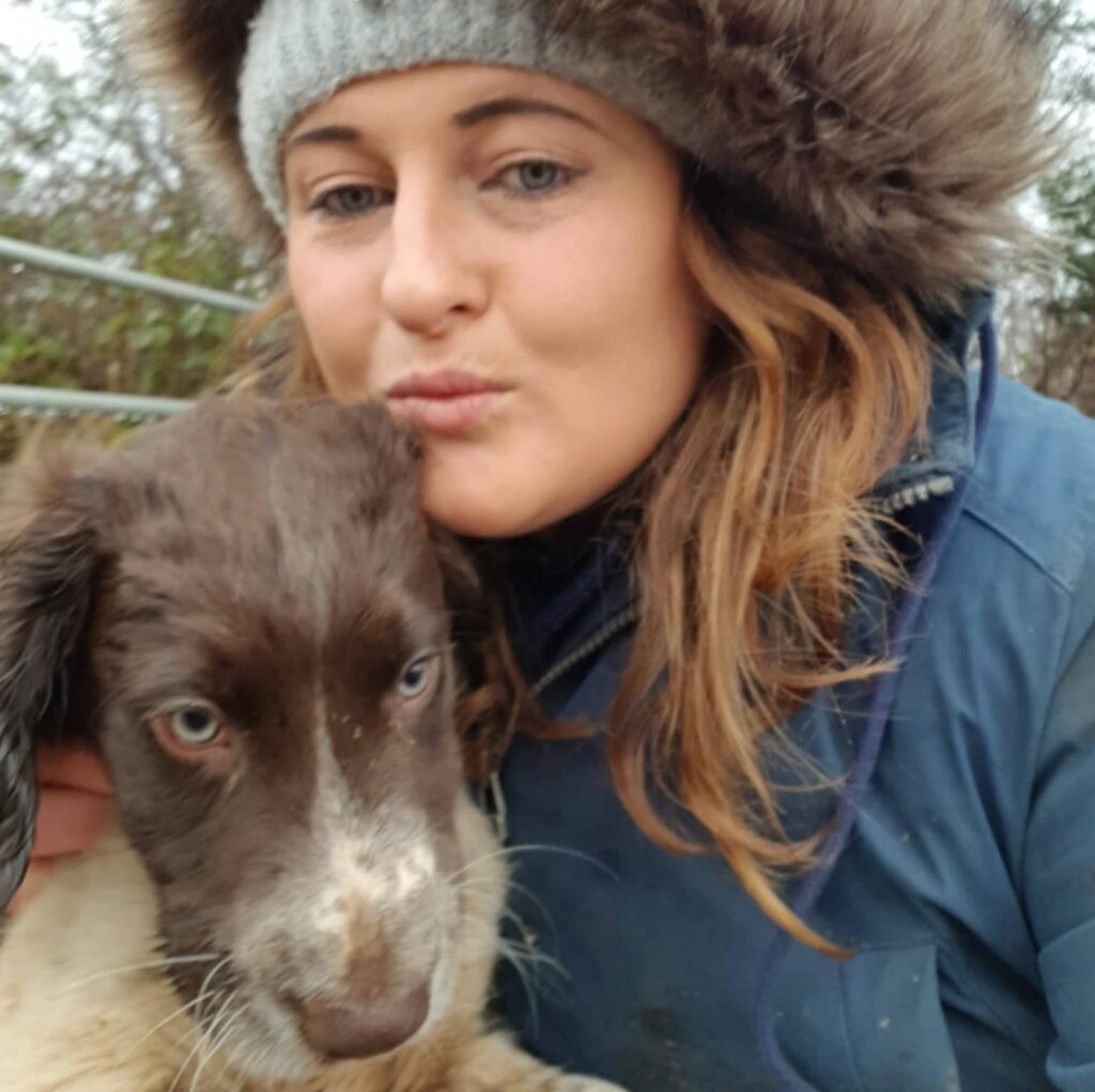 A dog named Triton stunned his owner by leaping from a boat to swim alongside a wild dolphin off the Devon coast with the pair gliding through the ocean together.