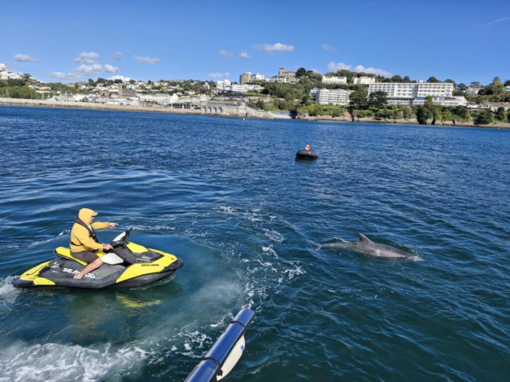 A dog named Triton stunned his owner by leaping from a boat to swim alongside a wild dolphin off the Devon coast with the pair gliding through the ocean together.
