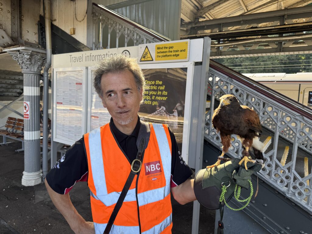 Hawks and falcons are being used to scare off pigeons at train stations in Norwich, Ipswich and Cambridge - a natural, non-harmful way to keep platforms clean and peaceful.